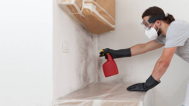 Professional Bathroom Mold Removal technician working in Melville, NY