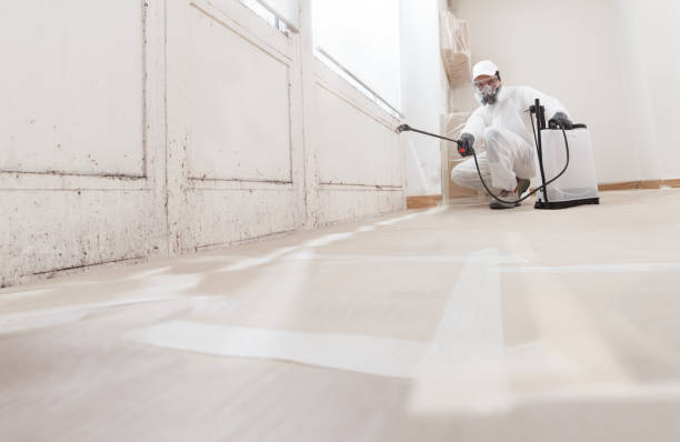 24/7 Emergency Bathroom Mold Removal experts in Melville, NY